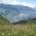 Blick runter nach Sachseln-Sarnen