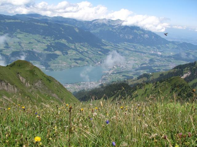 Blick runter nach Sachseln-Sarnen