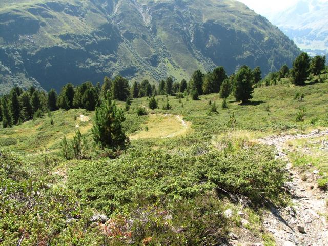 bei Punkt 2118 m.ü.M. biegt der Weg rechts runter zum Schindelbodenwald