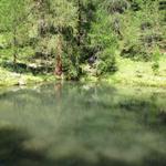 kleiner Waldsee kurz oberhalb vom Gasthaus Alpenrose