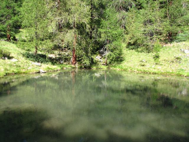 kleiner Waldsee kurz oberhalb vom Gasthaus Alpenrose