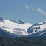 Blick zum Triftgletscher