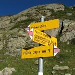 Wegweiser bei Punkt 2460 m.ü.M. Hier könnte man abbigen und über die Fuorcla Radont zur Grialetsch Hütte wanden