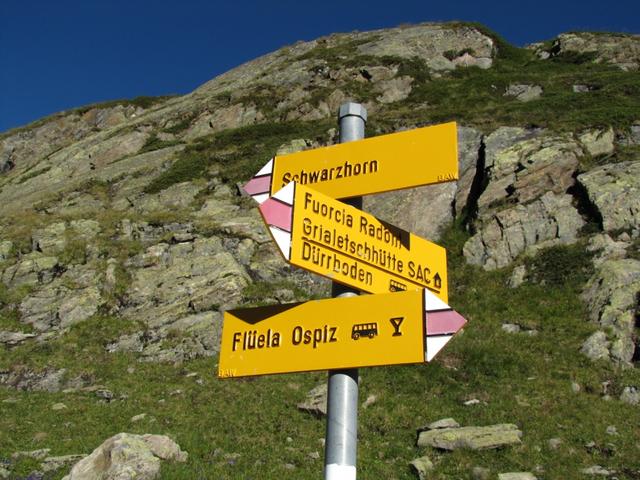 Wegweiser bei Punkt 2460 m.ü.M. Hier könnte man abbigen und über die Fuorcla Radont zur Grialetsch Hütte wanden