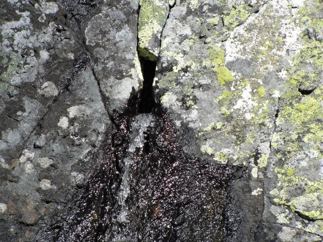 eine Quelle sprudelt aus dem Felsen hervor