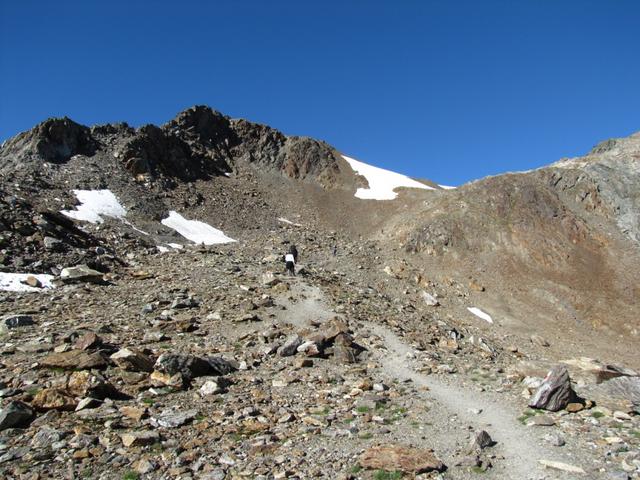 Blick zur Schwarzhornfurgga