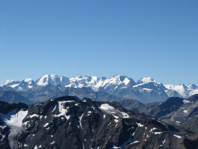 vom Flüela Schwarzhorn aus, sieht man sehr gut die ganze Berninakette