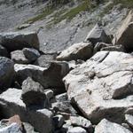 riesige Mengen an Blockschutt müssen überwunden werden, wenn der obere Wanderweg zur Grialetschhütte gewählt wird