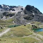 kurz vor der Chamanna Grialetsch