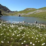 kleiner Bergsee bei der Chamanna Grialetsch