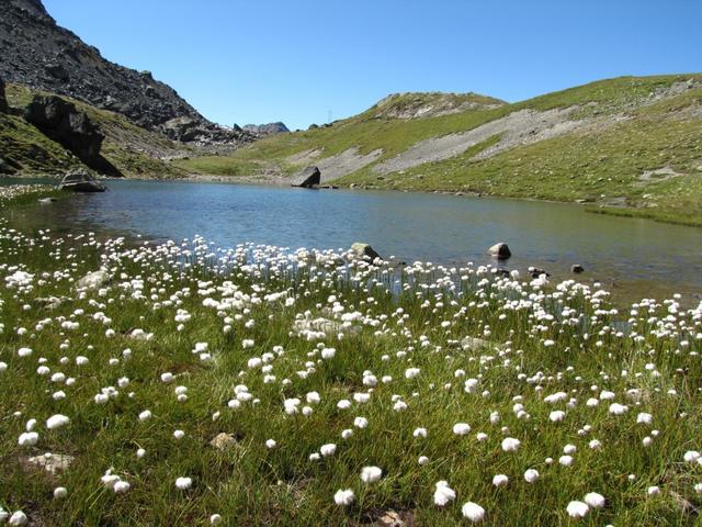 kleiner Bergsee bei der Chamanna Grialetsch