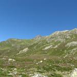 Blick nach oben zum Flüela Schwarzhorn