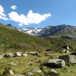 Blick zurück Richtung Grialetsch Gletscher. So schön