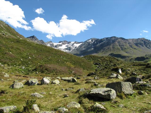 Blick zurück Richtung Grialetsch Gletscher. So schön