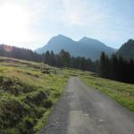 heute wandern wir zur Fergenhütte