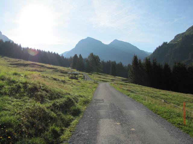 heute wandern wir zur Fergenhütte