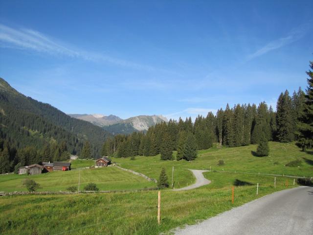 Blick zurück