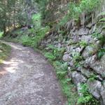 auf der Waldstrasse im Pardenner Wald. Kurz nach Punkt 1547 m.ü.M.