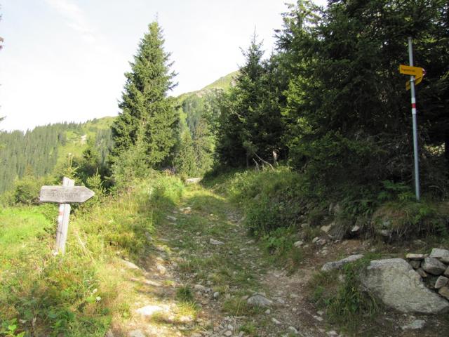 kurz vor Punkt 1759 m.ü.M. (das Ende der Fahrstrasse) biegt man rechts ab