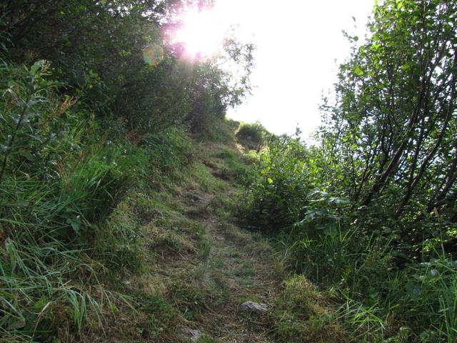 ein bisschen steiler wird nun der Bergpfad