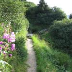 über einen schönen Bergweg, geht es unschwierig Richtung Fergenhütte