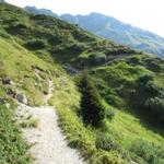 während dem Wandern Richtung Fergenhütte, kann man immer wieder Berge bestaunen