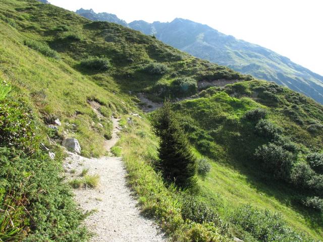 während dem Wandern Richtung Fergenhütte, kann man immer wieder Berge bestaunen