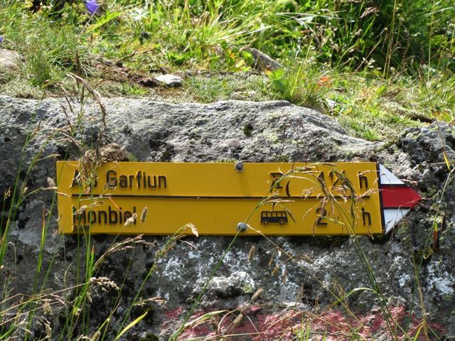 auf einem anderen Wanderweg als der Aufstieg, heisst es nun abwärts zur Alp Garfiun