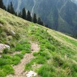 auf Alp Ober Garfiun kurz vor Punkt 1658 m.ü.M.