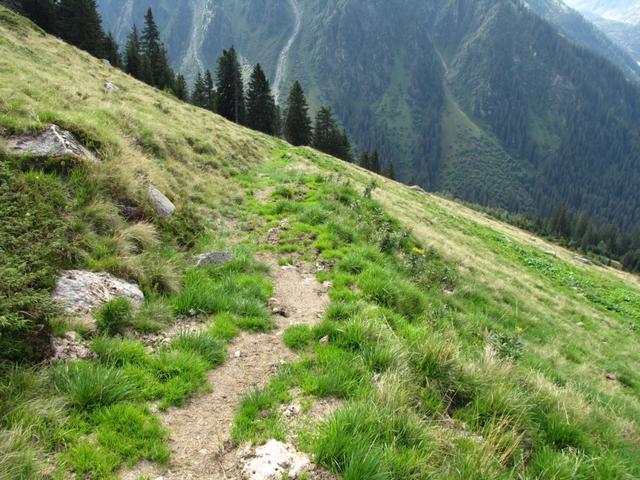 auf Alp Ober Garfiun kurz vor Punkt 1658 m.ü.M.