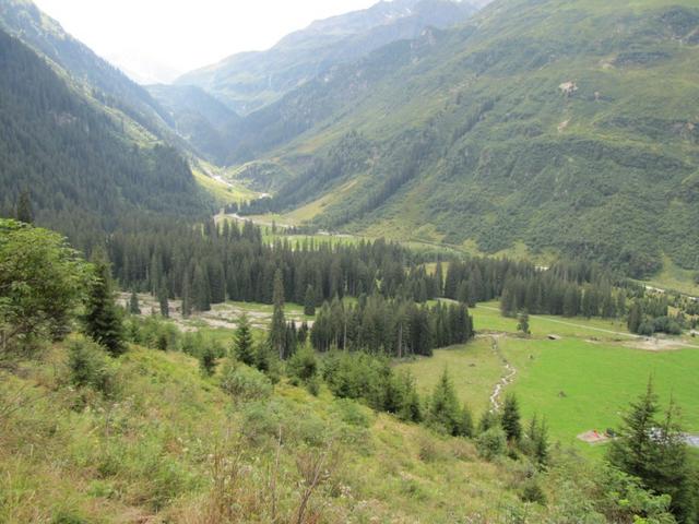 Blick zur Alp Garfiun