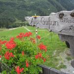 Alp Garfiun im Sommer und im Winter eine Reise wert