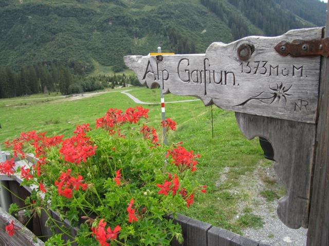 Alp Garfiun im Sommer und im Winter eine Reise wert