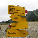 Wegweiser bei Punkt 1276 m.ü.M. auf der orographisch linken Seite der Landquart