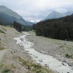 Blick Richtung Alp Garfiun und Silvretta. Gut ersichtlich die Landschaft die durch das Unwetter 2005 zerstört wurde