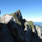 kurz vor dem Tomlishorn