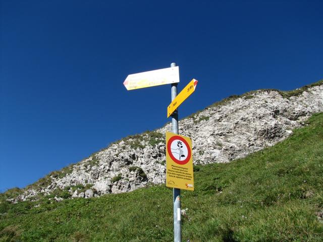 rechts geht es auf den Tomlishorn, geradeaus Richtung Mittaggüpfi