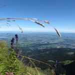 was für eine Aussicht auf das Mittelland