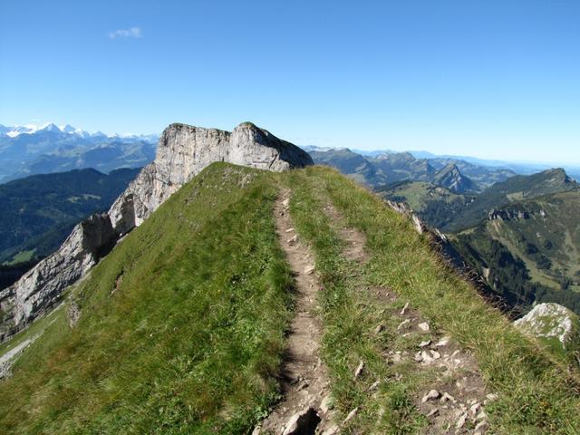 wir haben den Grat auf dem Gemsmättli erreicht. Hier legen wir eine Pause ein. Ein Muss! bei so einer super Aussicht