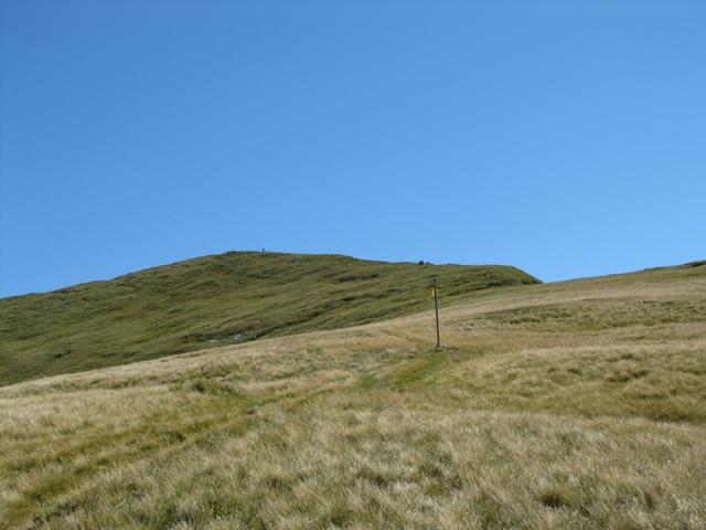 Blick zurück zum Widderfeld