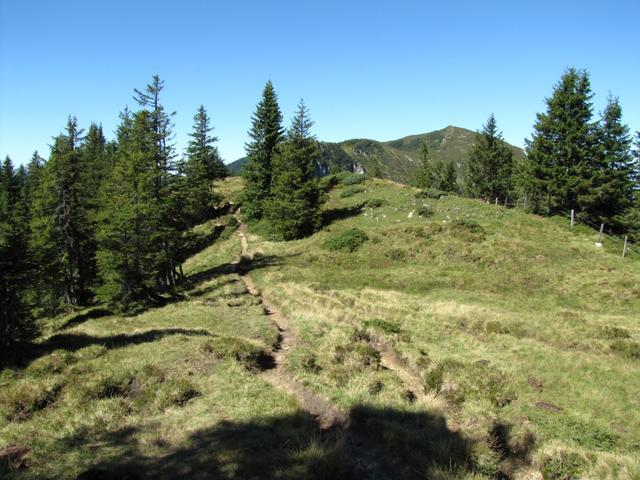 bei Feldnätsch 1760 m.ü.M.