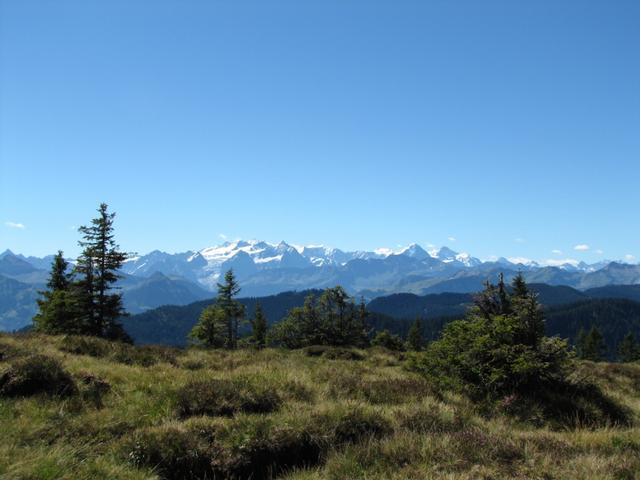 und während dem wandern immer wieder eine super Aussicht