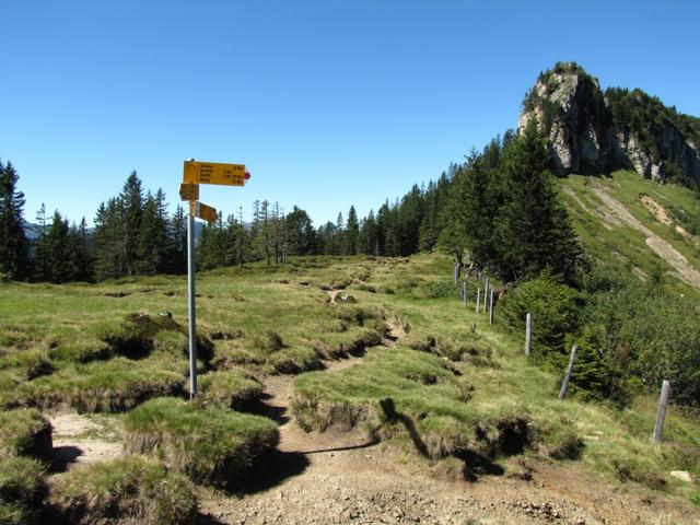 bei Felli 1690 m.ü.M.