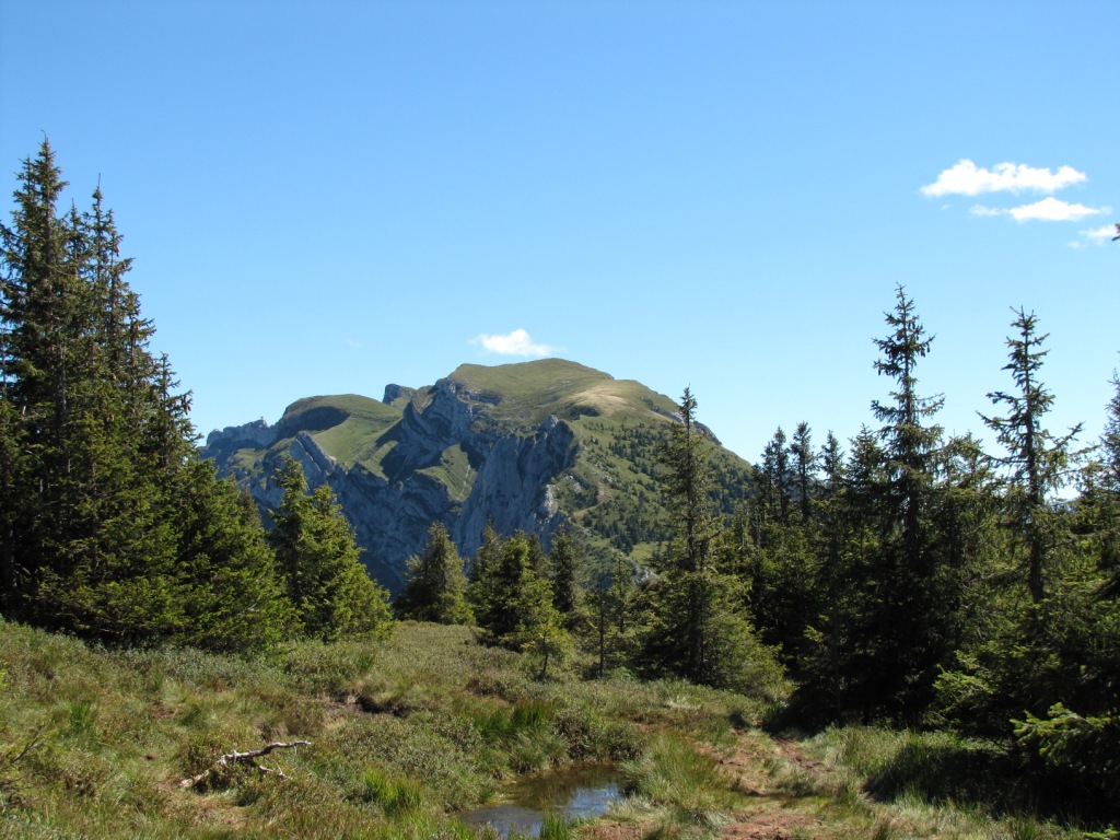 Blick zurück zum Widderfeld
