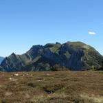 auf der Moorlandschaft von Nätsch mit Blick zum Widderfeld