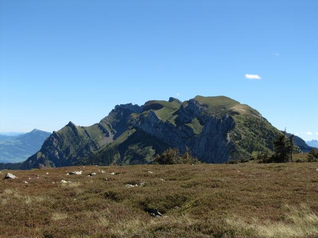 auf der Moorlandschaft von Nätsch mit Blick zum Widderfeld