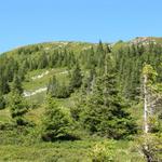 Blick zurück zum Mittaggüpfi