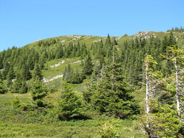 Blick zurück zum Mittaggüpfi