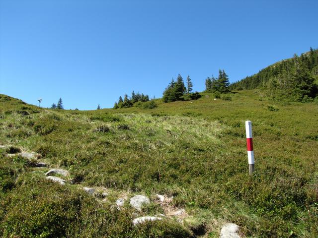 Blick zurück zu Punkt 1806 m.ü.M.