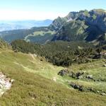 der Weg führt uns nun runter zur Oberalp